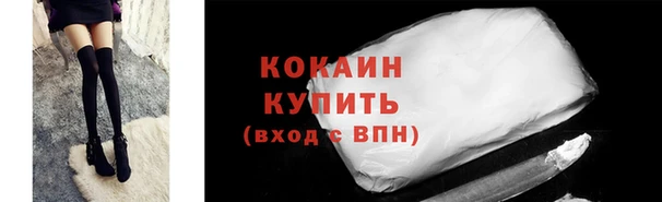 твердый Абаза
