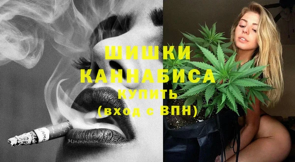 дживик Абинск