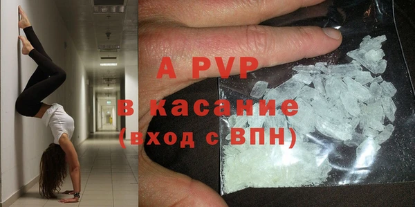 твердый Абаза