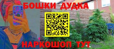 дмт Нальчик