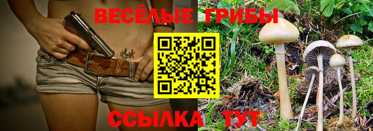 Галлюциногенные грибы мицелий Карпинск